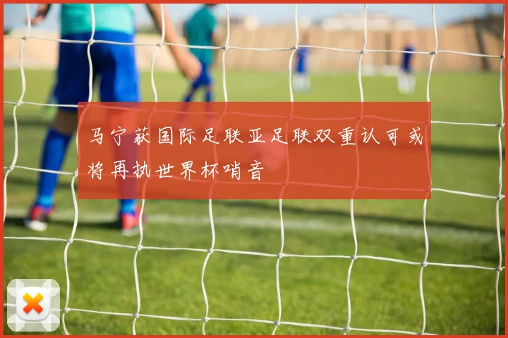 马宁获国际足联亚足联双重认可或将再执世界杯哨音